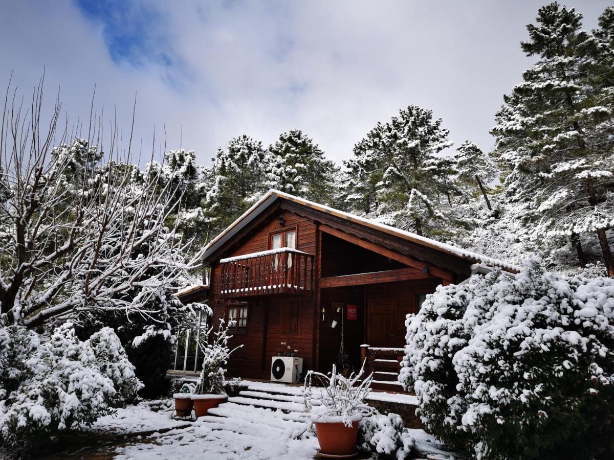 Villa De Montana Parque Natural Calar Del Rio Mundo - Independiente - 4 Dormitorios - 2 Banos Riópar المظهر الخارجي الصورة