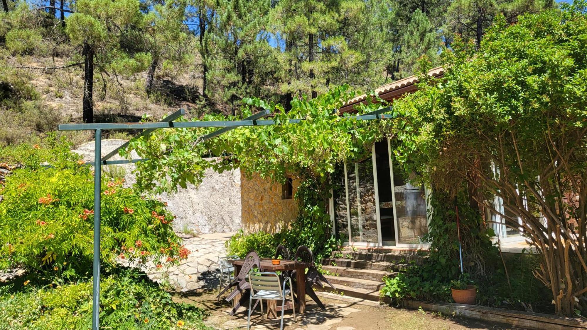 Villa De Montana Parque Natural Calar Del Rio Mundo - Independiente - 4 Dormitorios - 2 Banos Riópar المظهر الخارجي الصورة